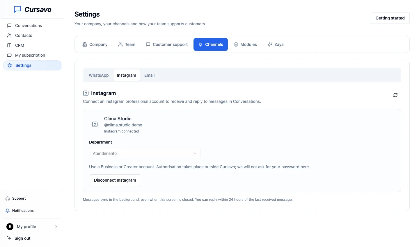 Professional Instagram account settings in Cursavo